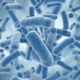 Illustration for article titled Are antibiotics making your kids obese?